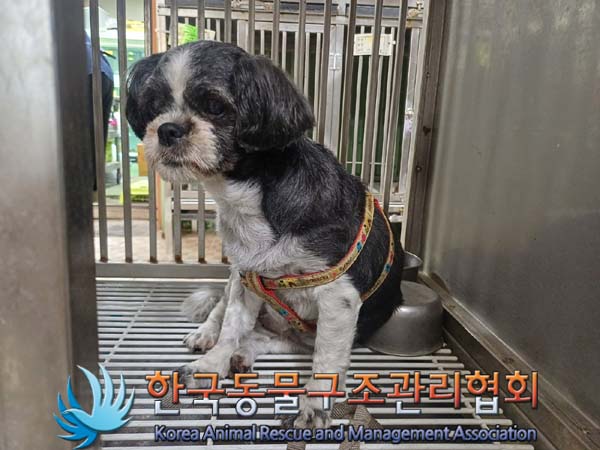 한국동물구조관리협회_411311202400590